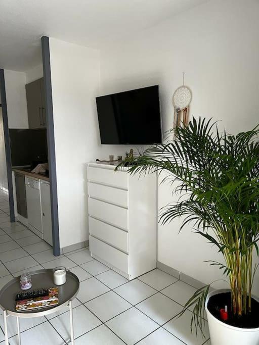 Appartement "Chez Mag Et Jo" Moliets-et-Maa Εξωτερικό φωτογραφία